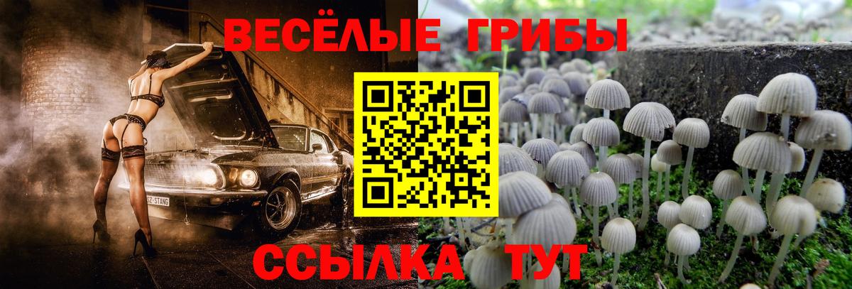 Галлюциногенные грибы Cubensis Тайшет